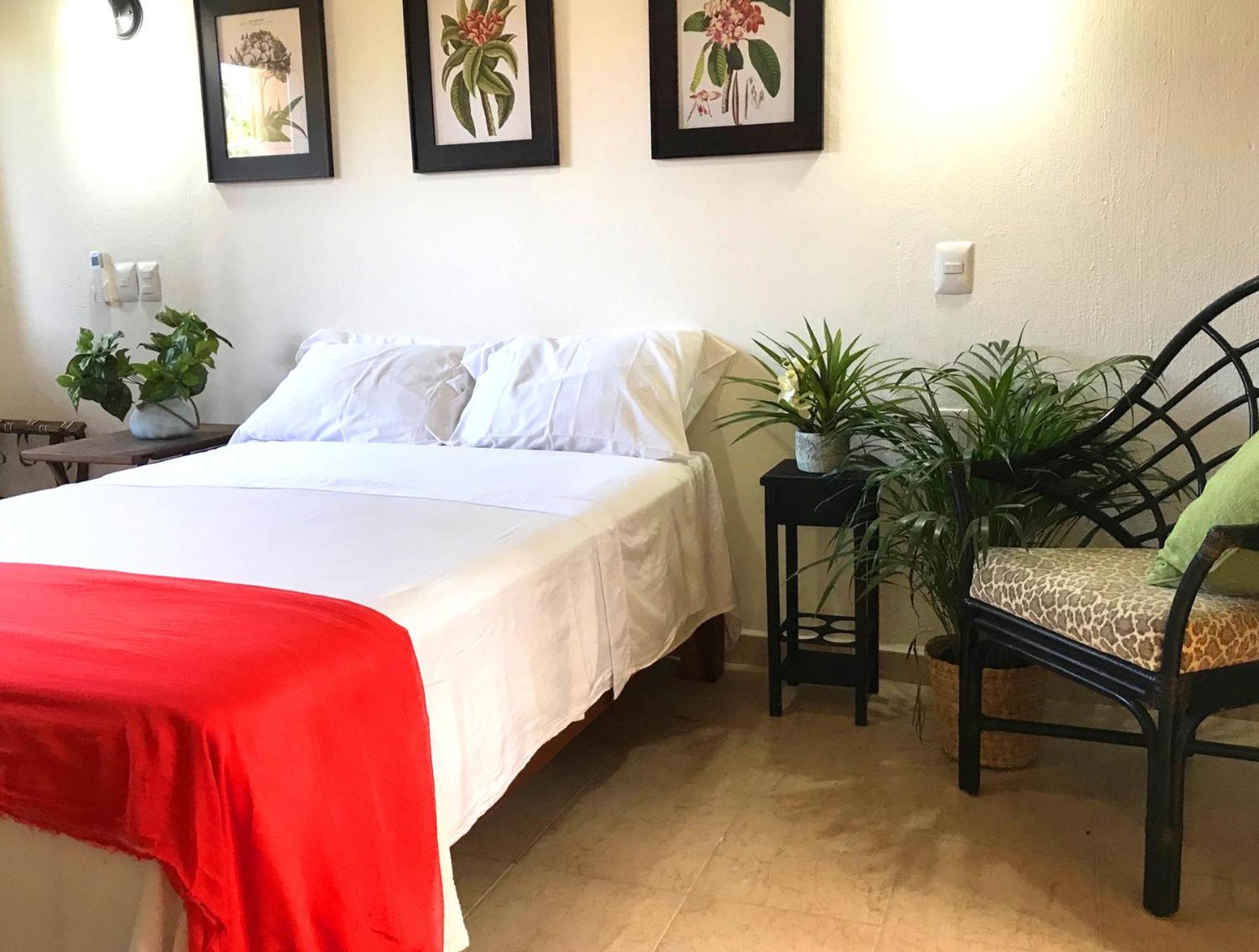 Casa Botanica Hotel Lo de Marcos Bagian luar foto
