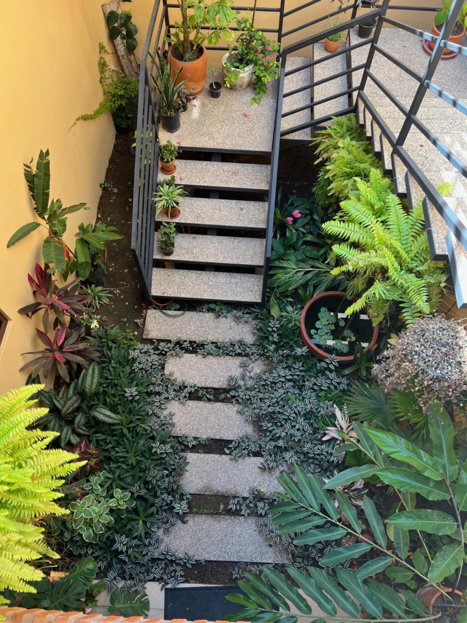 Casa Botanica Hotel Lo de Marcos Bagian luar foto