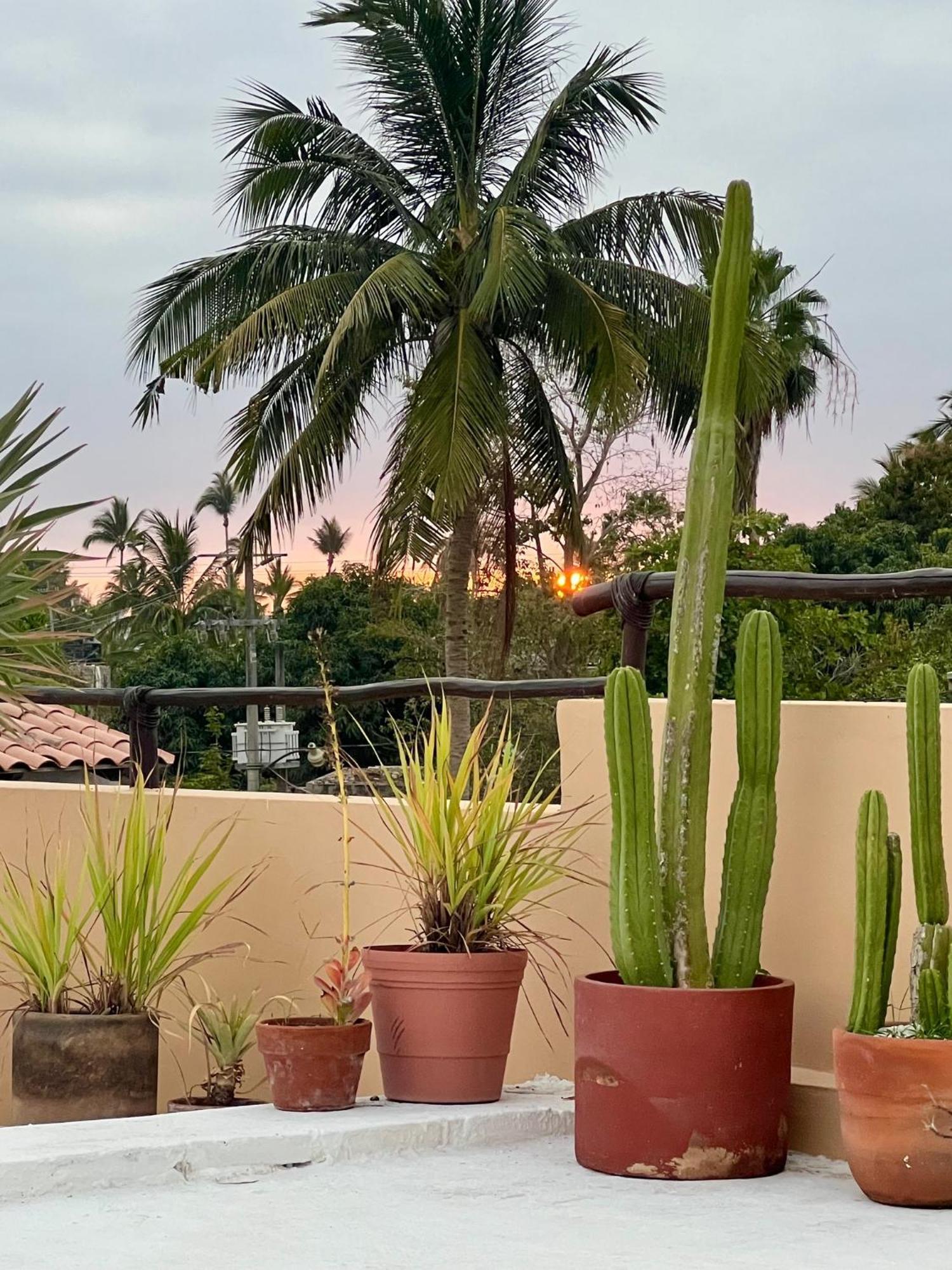 Casa Botanica Hotel Lo de Marcos Bagian luar foto