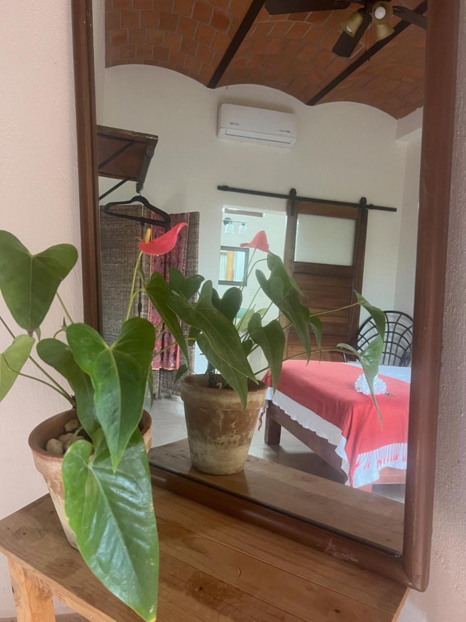 Casa Botanica Hotel Lo de Marcos Bagian luar foto