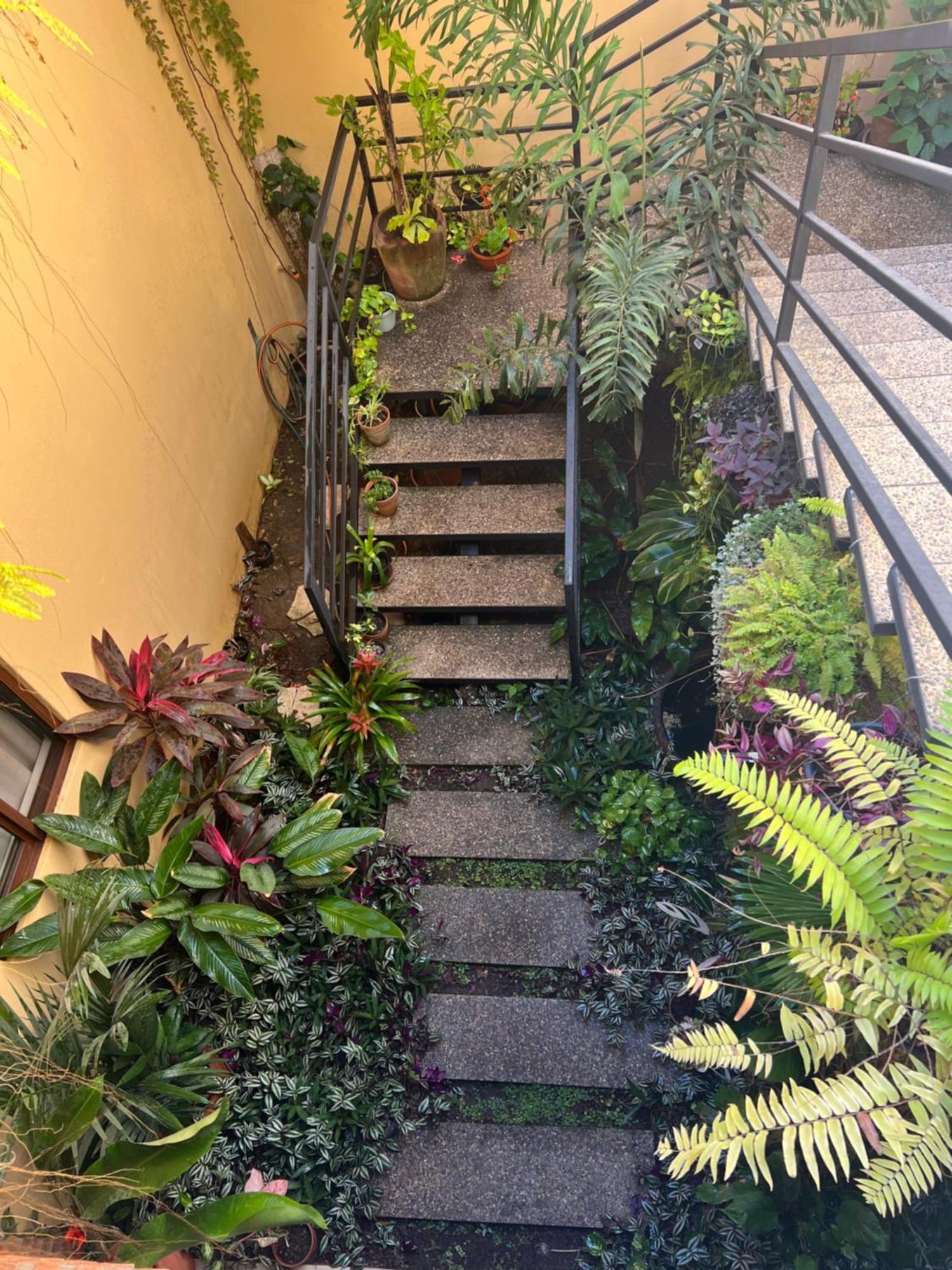 Casa Botanica Hotel Lo de Marcos Bagian luar foto