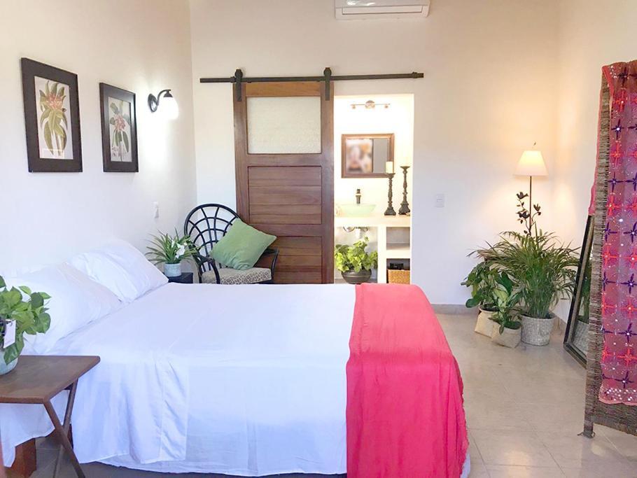 Casa Botanica Hotel Lo de Marcos Bagian luar foto
