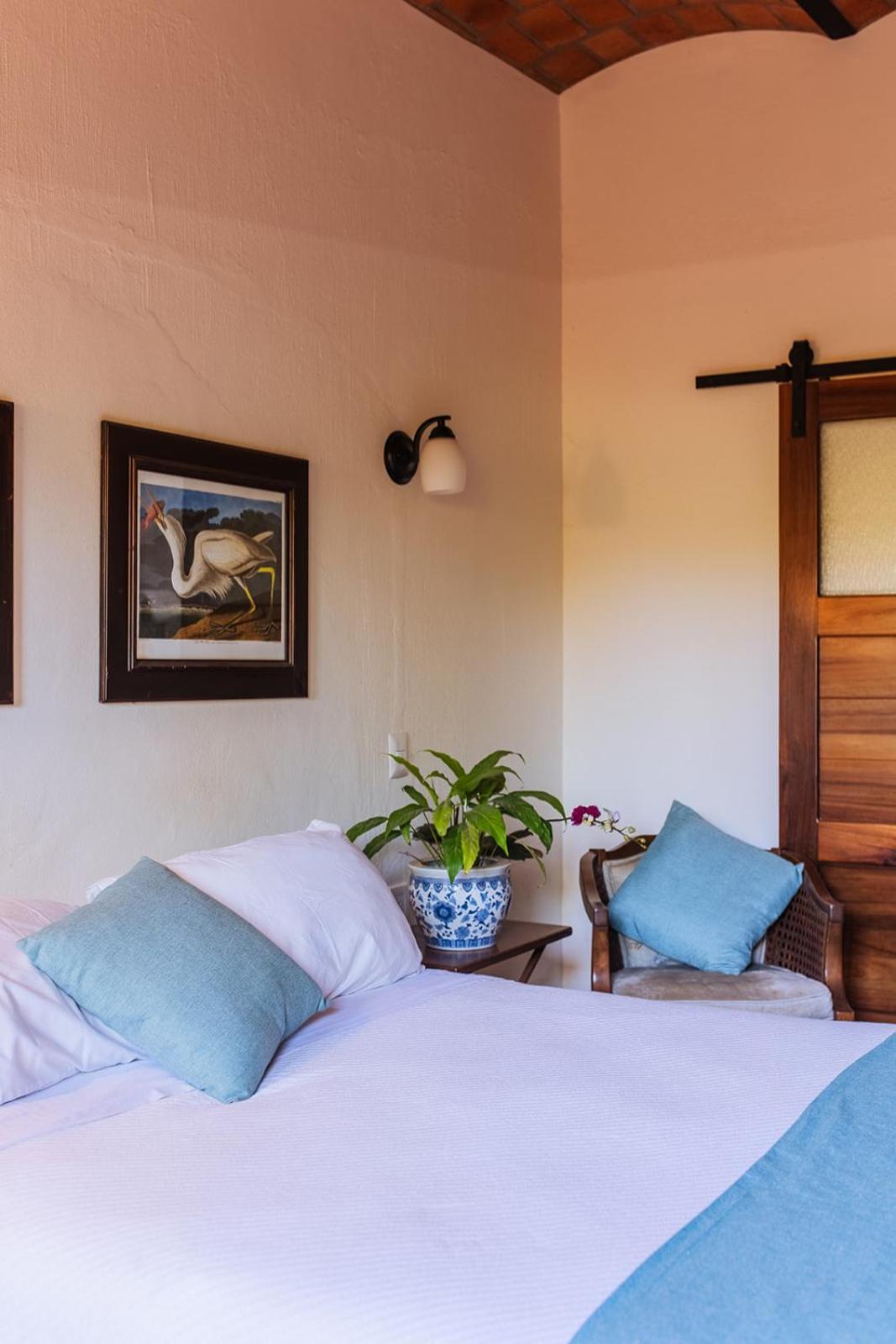 Casa Botanica Hotel Lo de Marcos Bagian luar foto